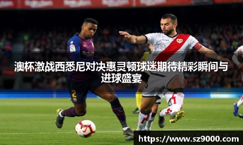 澳杯激战西悉尼对决惠灵顿球迷期待精彩瞬间与进球盛宴